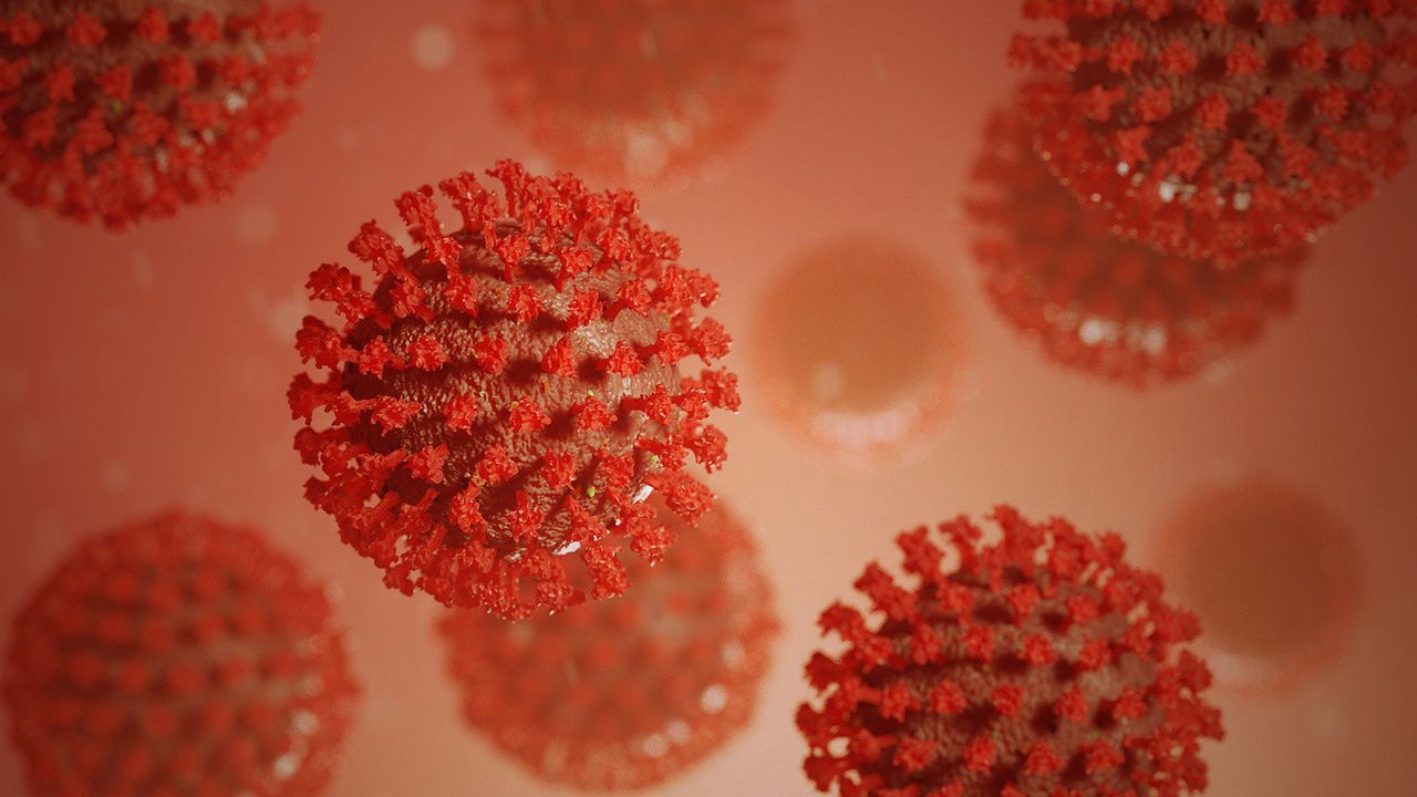 Jak rozwinie się koronawirus? Naukowcy znają odpowiedź