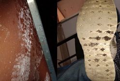 Bolesławiec. Uciekał przed policją po dachu na drugi blok. 22-latek niczym James Bond