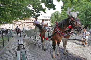 Niedziela w Krakowie bez dorożek. Ze względu na upał i bezpieczeństwo zwierząt