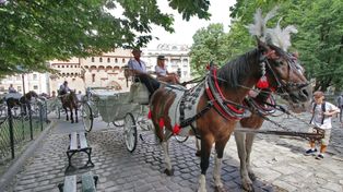 Niedziela w Krakowie bez dorożek. Ze względu na upał i bezpieczeństwo zwierząt