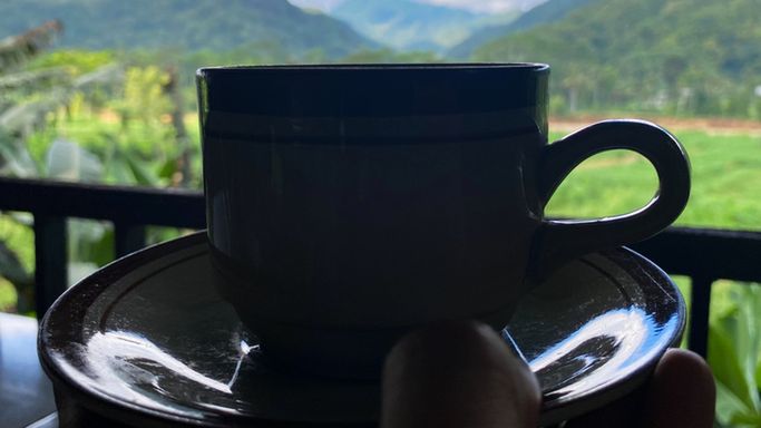 Wspiera zdrowie i spowalnia starzenie. Mała filiżanka, wielki efekt