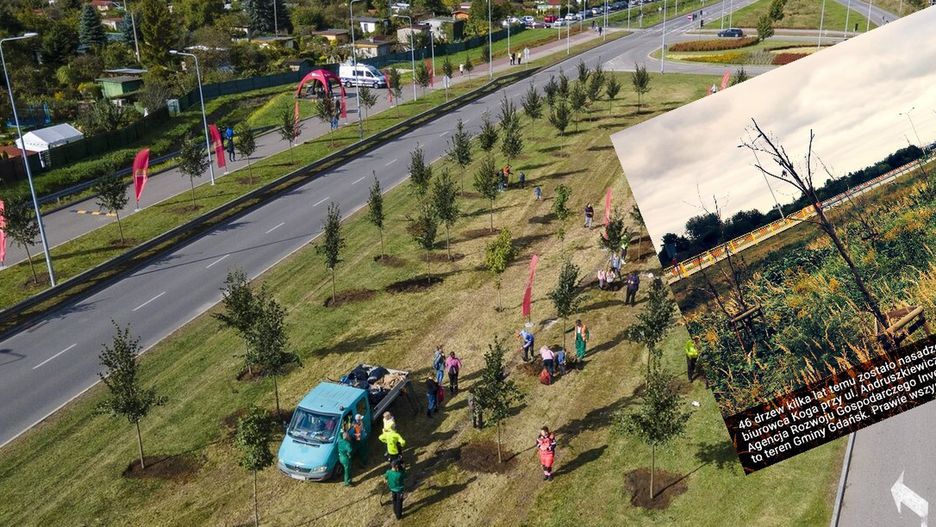 Aktywiści z Zielonej Fali mówią o działaniach pod publiczkę