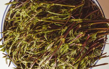 Depczemy po nich, a reszta świata płaci krocie, by spróbować. Sezon na najdroższe warzywo świata zacznie się lada moment