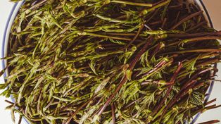 Depczemy po nich, a reszta świata płaci krocie, by spróbować. Sezon na najdroższe warzywo świata zacznie się lada moment