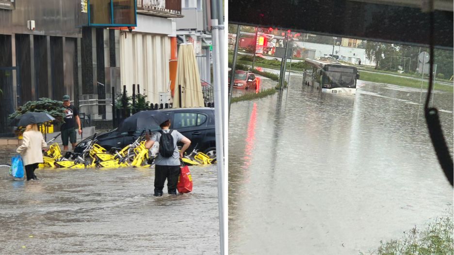 Zalana Dąbrowa Górnicza