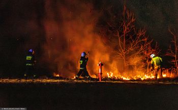 Wypalanie traw słono kosztuje. Grzywna nawet do 30 tys. zł