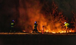 Wypalanie traw słono kosztuje. Grzywna nawet do 30 tys. zł