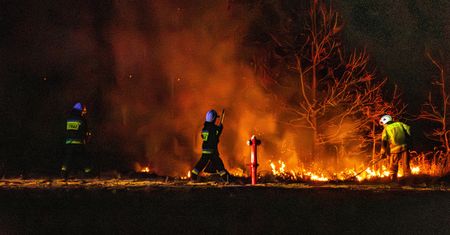 Wypalanie traw słono kosztuje. Grzywna nawet do 30 tys. zł