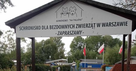 Wolontariusze schroniska mówią o strachu. Władze placówki o "różnicy zdań"