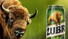 „Dobrze wpaść na Żubra” w reklamie piwa Żubr (wideo)