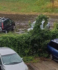 Koszmarna niedziela na Lubelszczyźnie. Padły zwierzęta