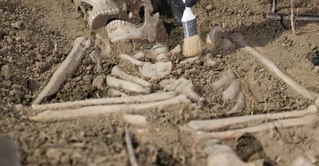 Odmienią historię ludzkości? Zadziwiające szkielety sprzed 6000 lat
