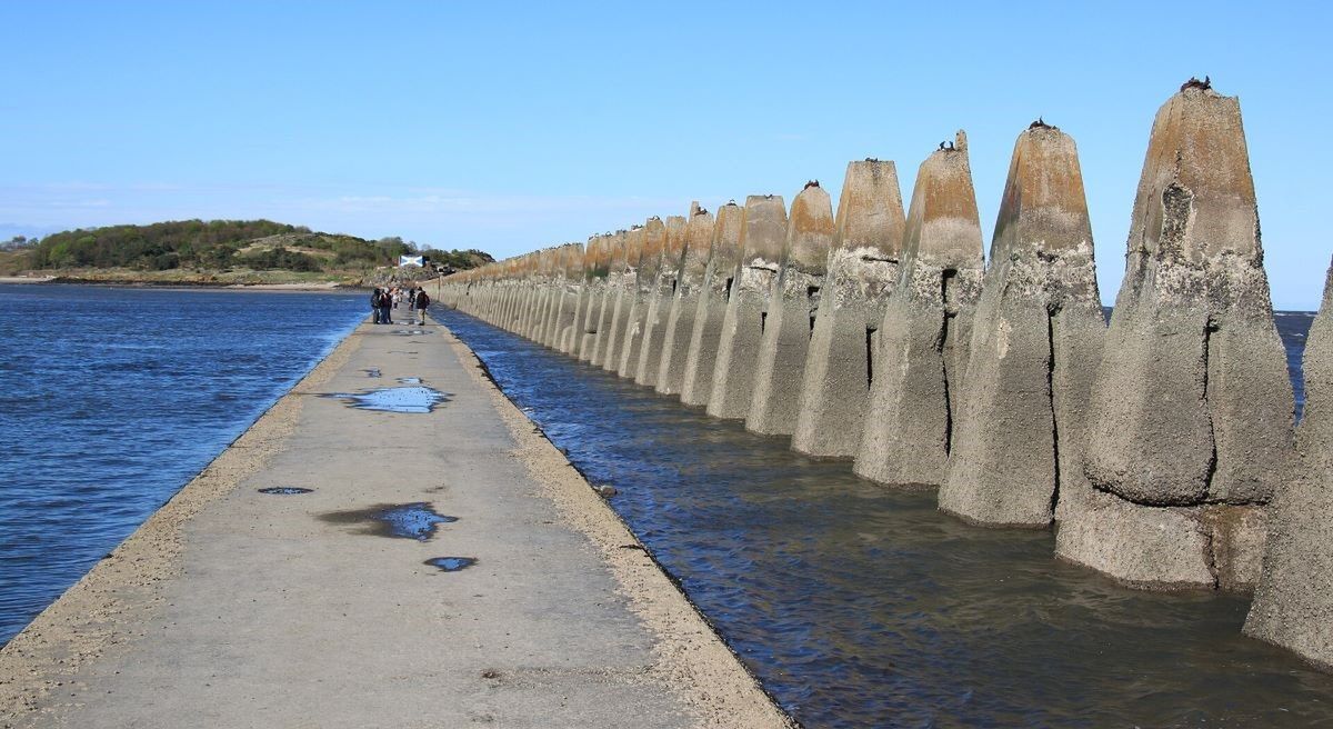 Znaleźli grób w kloace. Historia, która nie mieści się w głowie