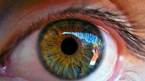 Nanorurki węglowe w oku 1