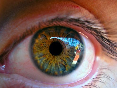 Nanorurki węglowe w oku
