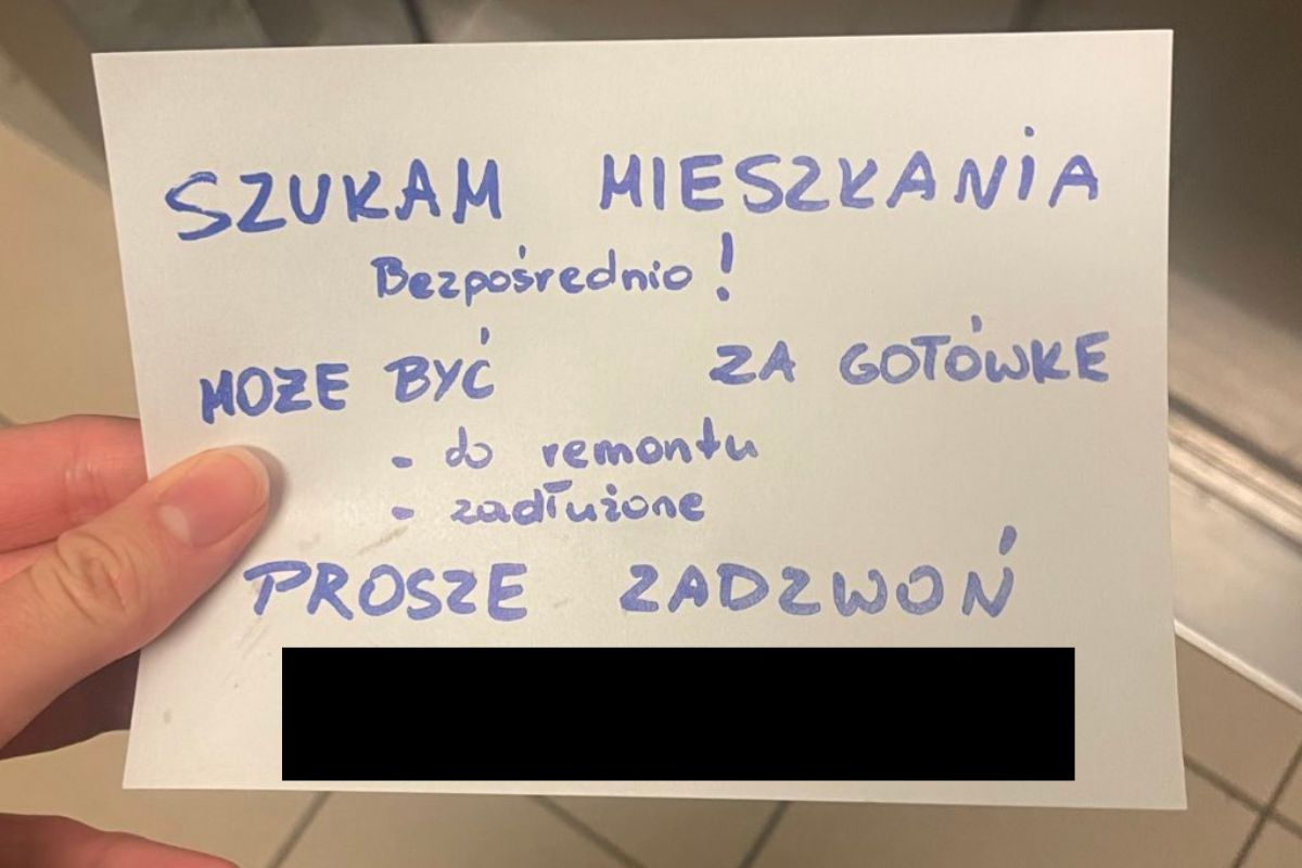 Zdjęcie nadesłane przez użytkowniczkę mingjuch
