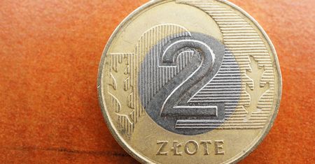 Ta moneta 2 zł jest warta krocie. Sprawdź, czy masz ją w portfelu