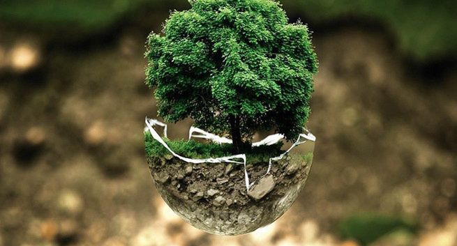 Zmiany klimatu już Polakom niestraszne. Przynajmniej w deklaracjach