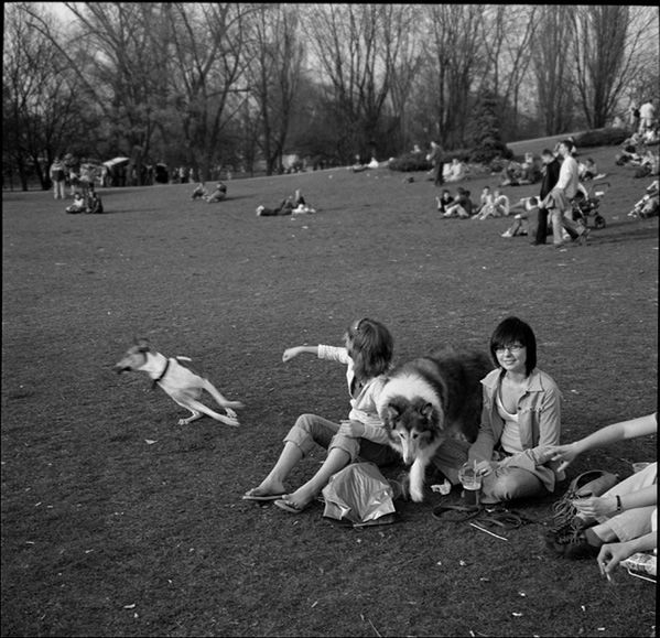 „Dog Stories" - pieskie życie na czarno-białych fotografiach Roberta Kresy 32