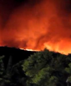 Grecja płonie. Żywioł gwałtownie się rozprzestrzenia