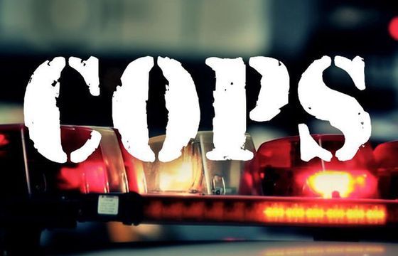 Koniec serialu "Cops"