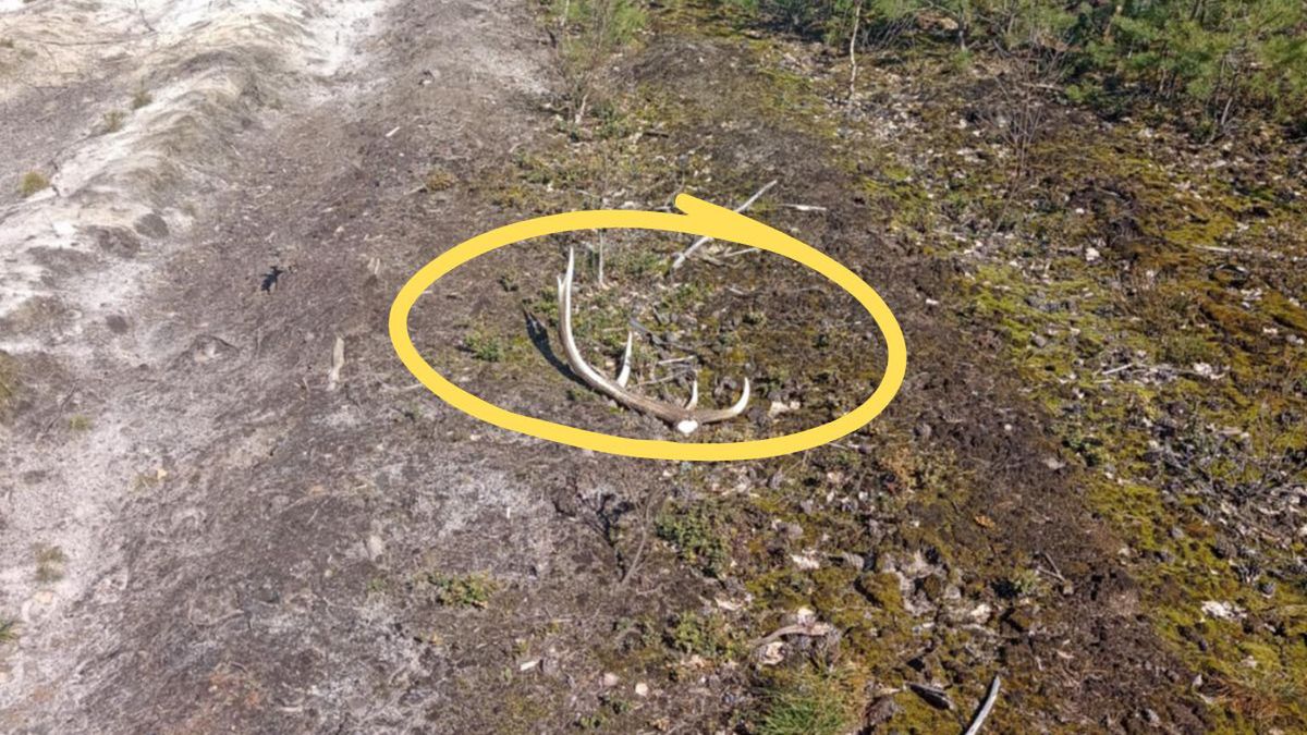 Sezon zrzutów coraz bliżej