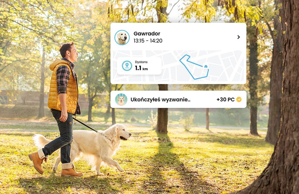 Petgram to polski "Instagram dla zwierząt". Ale w aplikacji chodzi o coś więcej niż słodkie zdjęcia 3