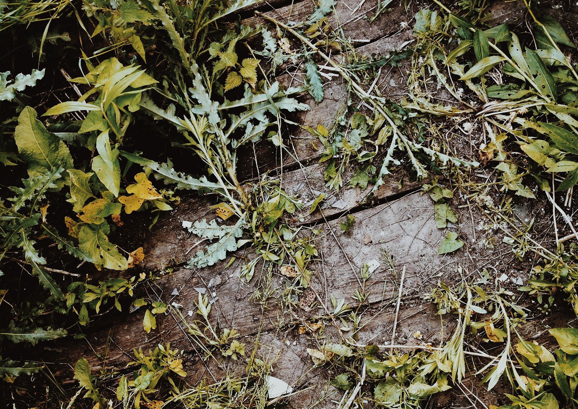 Dobry design i prostota, czyli VSCO CAM w akcji [recenzja] 12