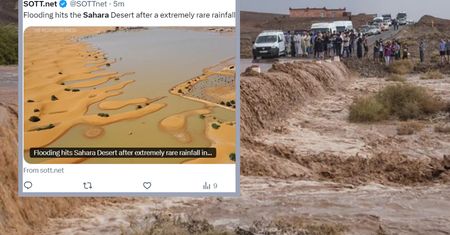 Meteorolog komentuje pogodę na Saharze. Od 50 lat nie było czegoś takiego