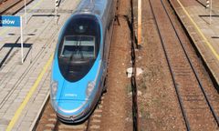 Kozłów. Przejechał nad nim pociąg. Ten nawet się nie zorientował