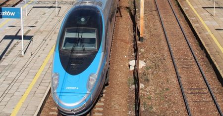 Kozłów. Przejechał nad nim pociąg. Ten nawet się nie zorientował