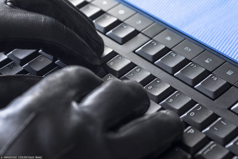 Cyberprzestępcy najczęściej atakują za sprawą podszywania się pod inne witryny internetowe.