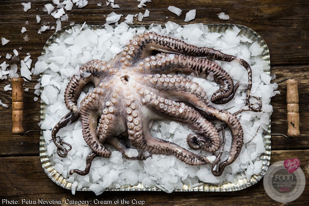 Najlepsze zdjęcia kulinarne 2016 roku w konkursie Pink Lady Food Photographer of the Year 7