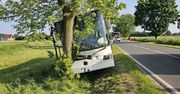 Autobus uderzył w drzewo w Bojadłach. Kierująca kompletnie pijana