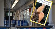 Poznaniak oburzony. Z ukrycia zrobił zdjęcie w tramwaju