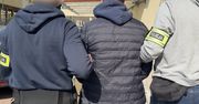 Gang "wirtualnych samochodów": jak fałszywe przeglądy i łapówki pozwalały rejestrować we Włoszech pojazdy, których nigdy nie było w Polsce
