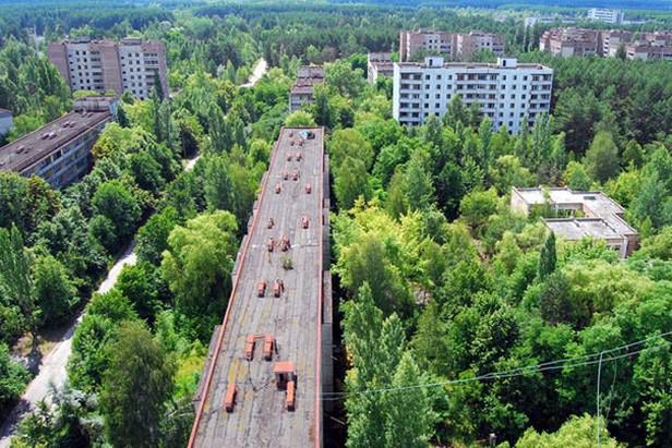 Miasta Prypeć i Czarnobyl powoli zarastają roślinnością