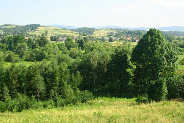 Obraz