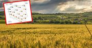 Gorące powietrze wtargnie do Polski. Totalny zwrot w pogodzie
