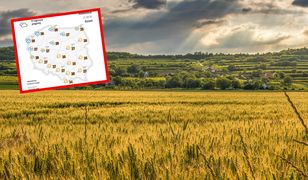 Gorące powietrze wtargnie do Polski. Totalny zwrot w pogodzie