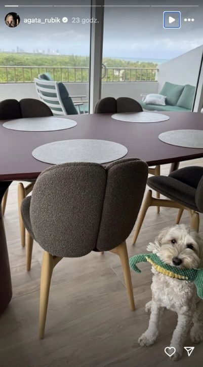 Agata Rubik pochwaliła się nowymi meblami w salonie