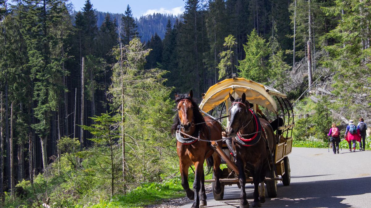 Zaprzęg konny, tzw. fasiąg na drodze do Morskiego Oka