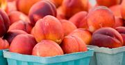 Czas na nektarynki
