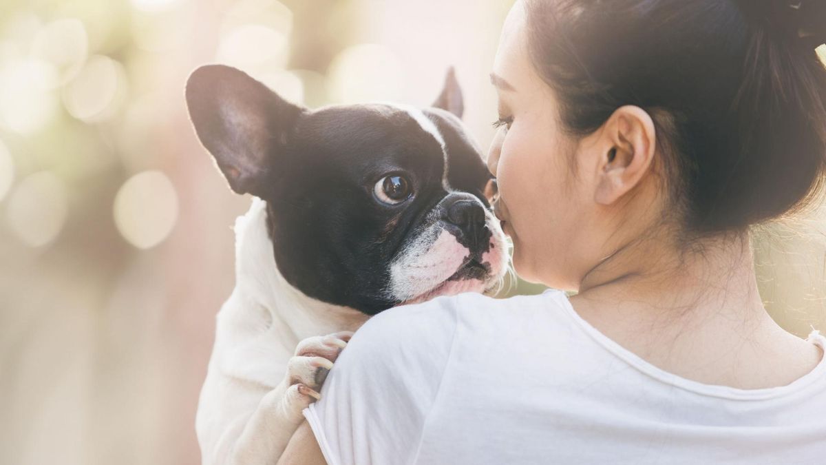 Odejście czworonożnego przyjaciela