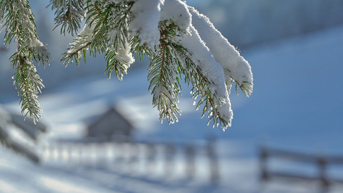 Śnieg ma występować głównie w górach.