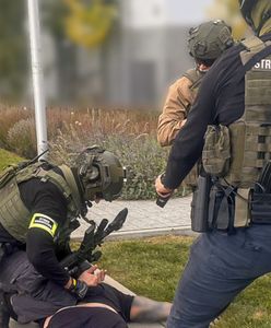 Uderzyli w narkotykowy biznes. Wielka akcja służb