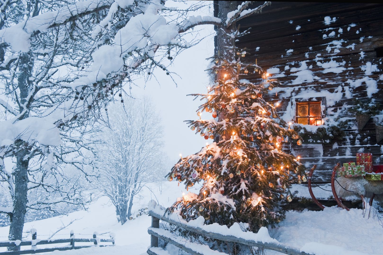 Śnieg na Boże Narodzenie? Znamy prognozy synoptyków