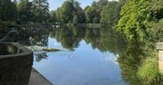 Park Romantyczny w Arkadii. "Za grosz w nim romantyczności"