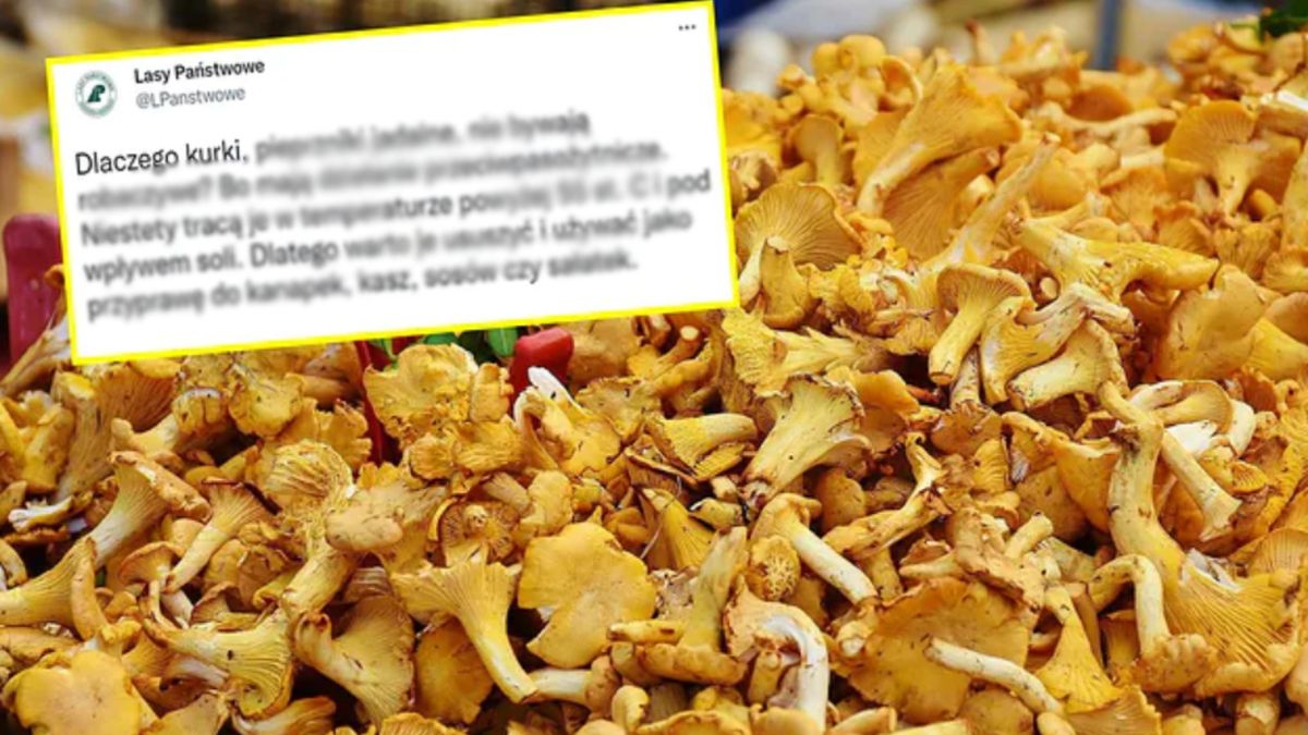 Leśnicy dali internautom kolejną lekcję