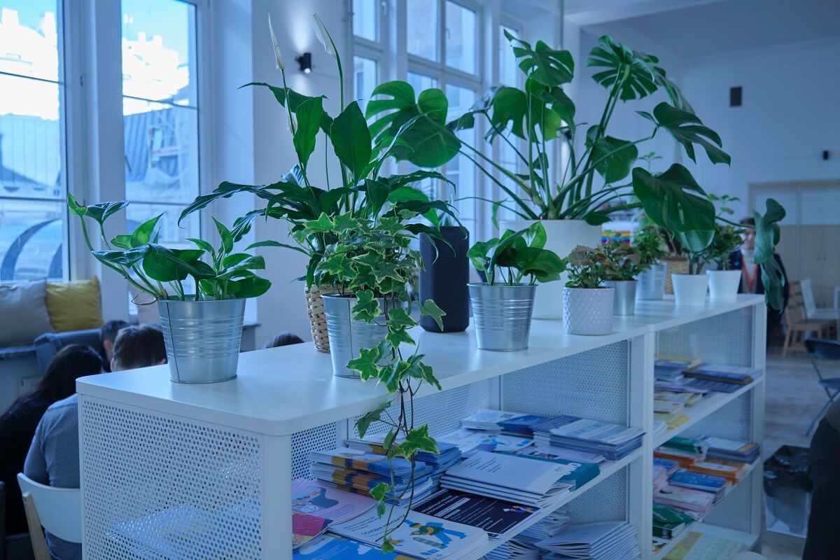 Baobab Lublin